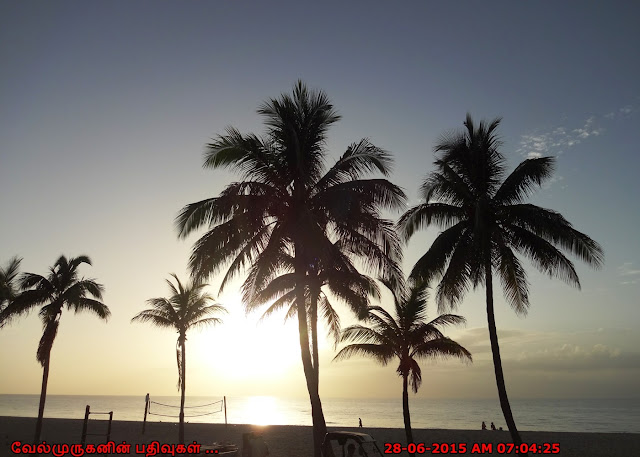 Hollywood City Beach