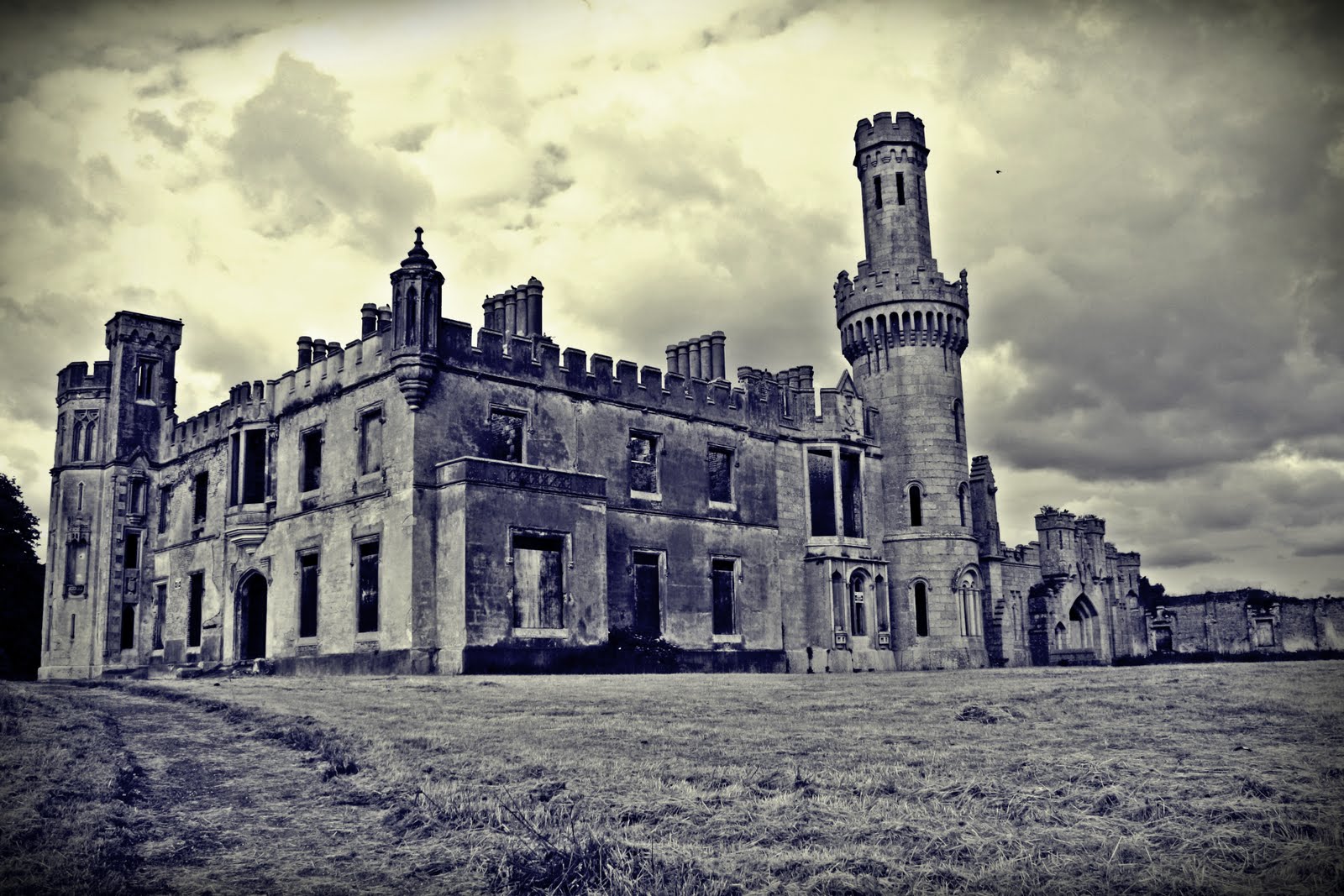Historic Sites of Ireland Duckett’s Grove Castle