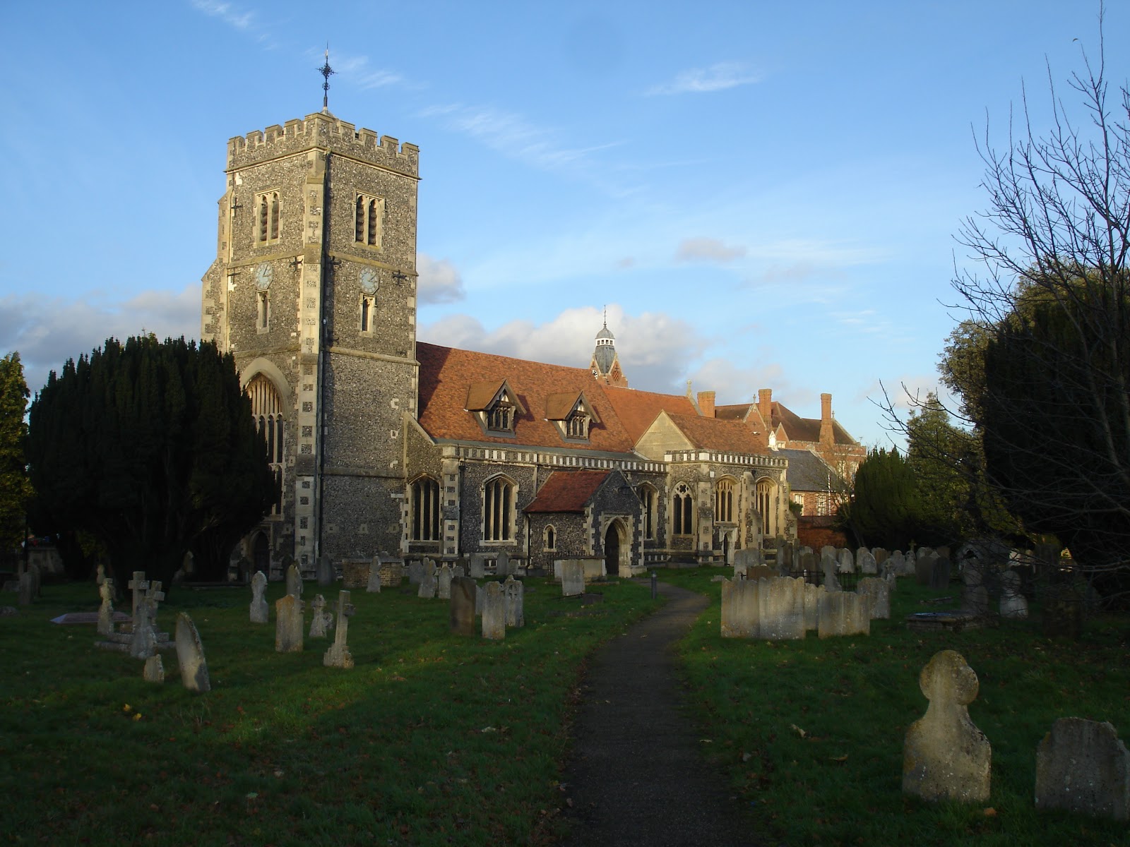 NonStop Birding Beddington Park and Trees
