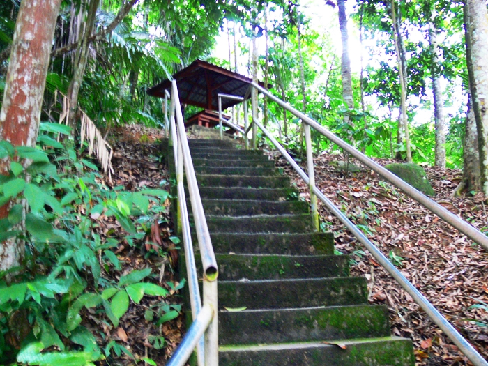 Bukit Soga Batu Pahat Zarinsofea S Bukit Soga Daerah Ini Ialah Satu Daripada Sepuluh Daerah Di Johor Terraxyu