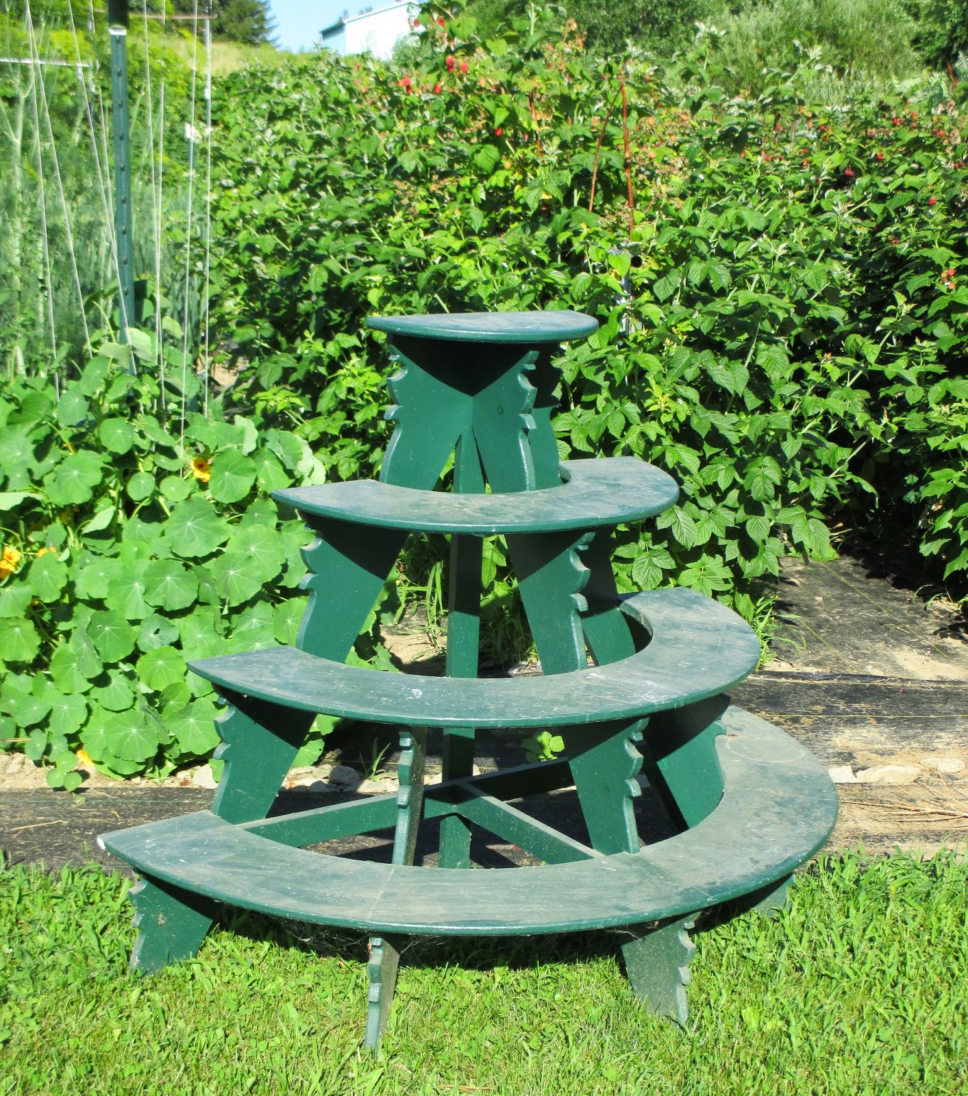 The Deliberate Agrarian: Evelyn's Plant Stand