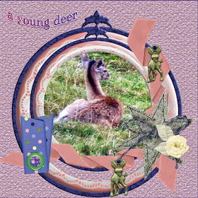 a young deer