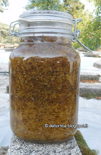 oleolito di lavanda vera, oleolito di lavandino, oleolito di cipresso, oleolito di rosmarino, oleolito di salvia, oleolito di iperico dell'Azienda Agricola dell'Ortica a Savigno Valsamoggia Bologna in Appennino vicino Zocca