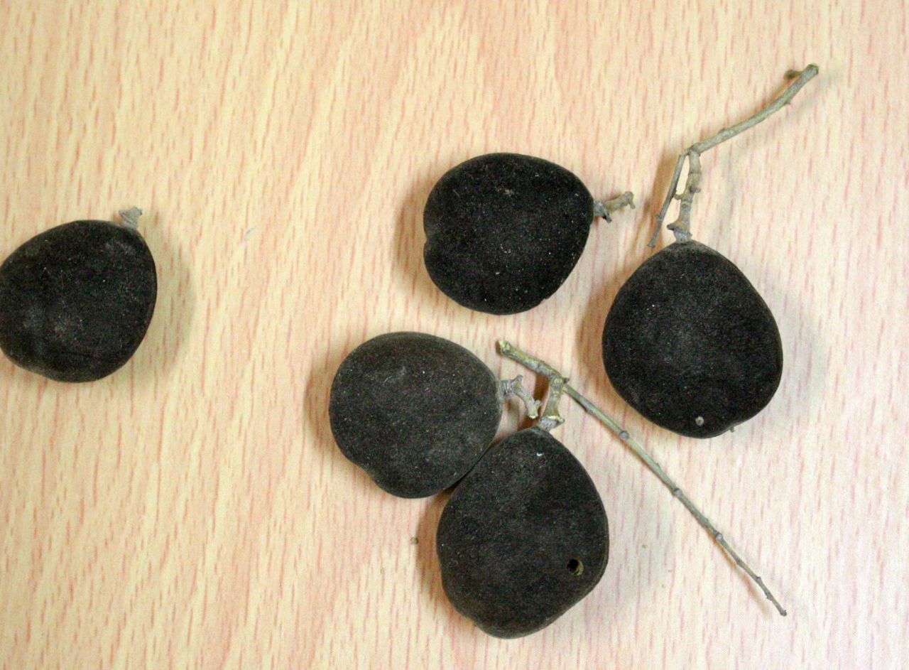 at home in Ghana I got a blackberry!