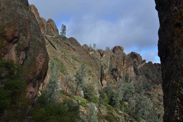 the pinnacles