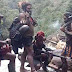 Pakar Humaniter: Pemerintah Jangan Ragu Lakukan Operasi Militer Pada KKB Di Papua