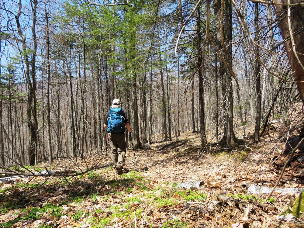 Outdoor Diversion Hall's Ledge Trail and Hutmen's Trail Loop Hike