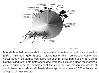 Figura 1