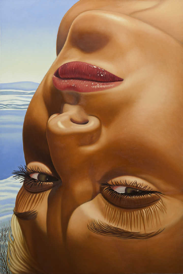 Richard Phillips. Журналы, как исходный материал 13