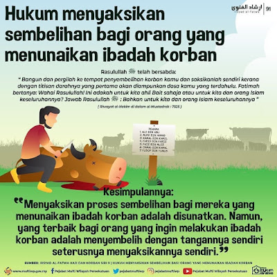 TUNTUTAN IBADAT KORBAN BAGI YANG MAMPU  hukum korban siapa perlu korban amalan terbaik yang Allah suka  korban di dunia balasan di akhirat