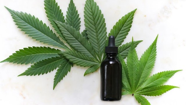 Comissão de Saúde na ALRN aprova matéria sobre tratamento com Cannabis e derivados