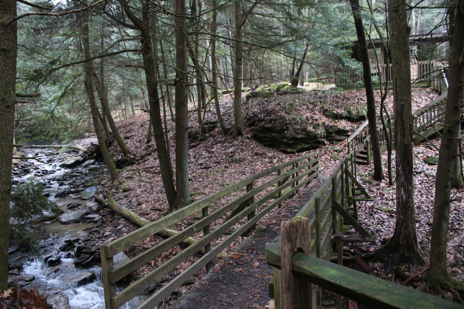 Hiking at Butler County's Todd Nature Reserve of the Audobon Society of