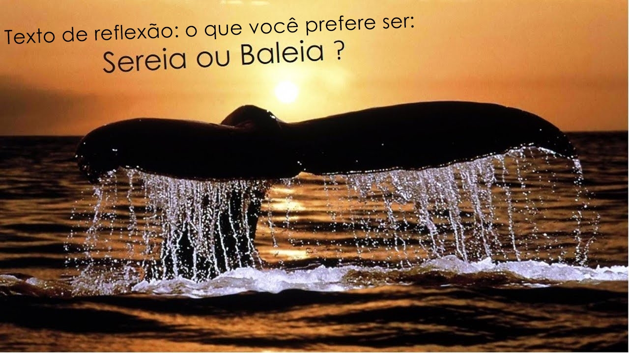 Texto%2Bde%2Breflex%25C3%25A3o%2Bo%2Bque%2Bvoc%25C3%25AA%2Bprefere%2Bser%2Bsereia%2Bou%2Bbaleia.jpg