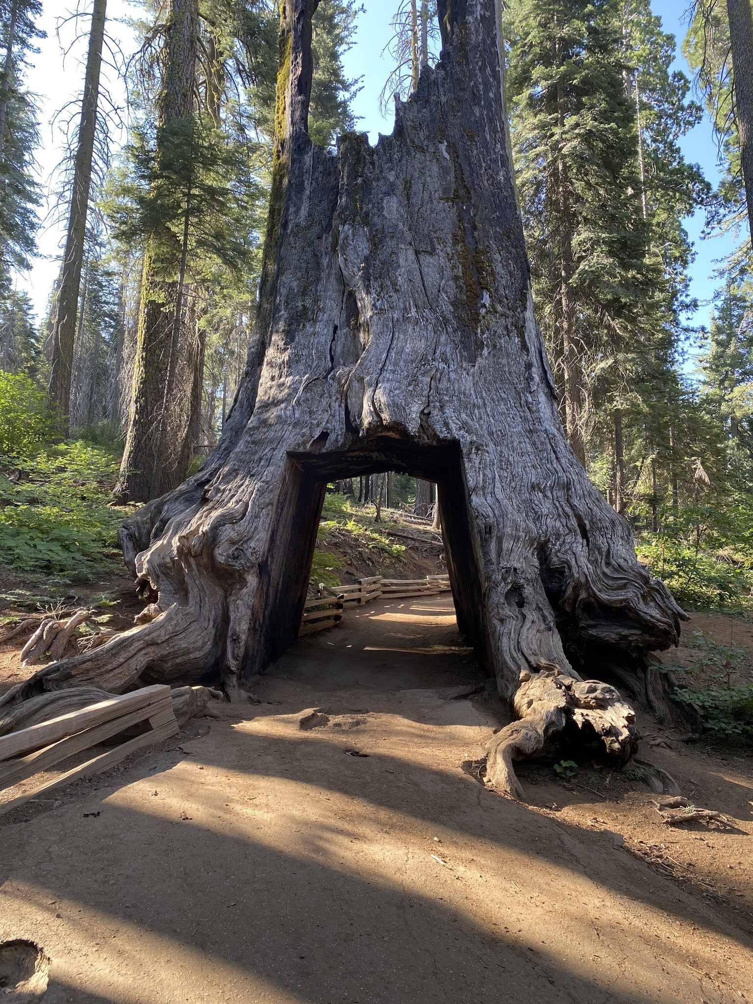History of the Big Oak Flat Road (Yosemite National Park)