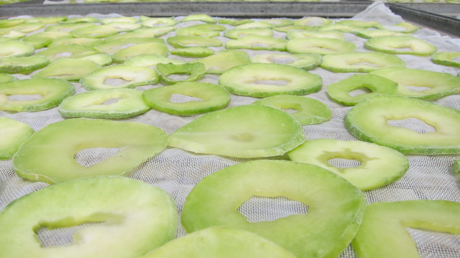 Cut and Dried... Minnie's Dried Fruits & Vegetables Articles