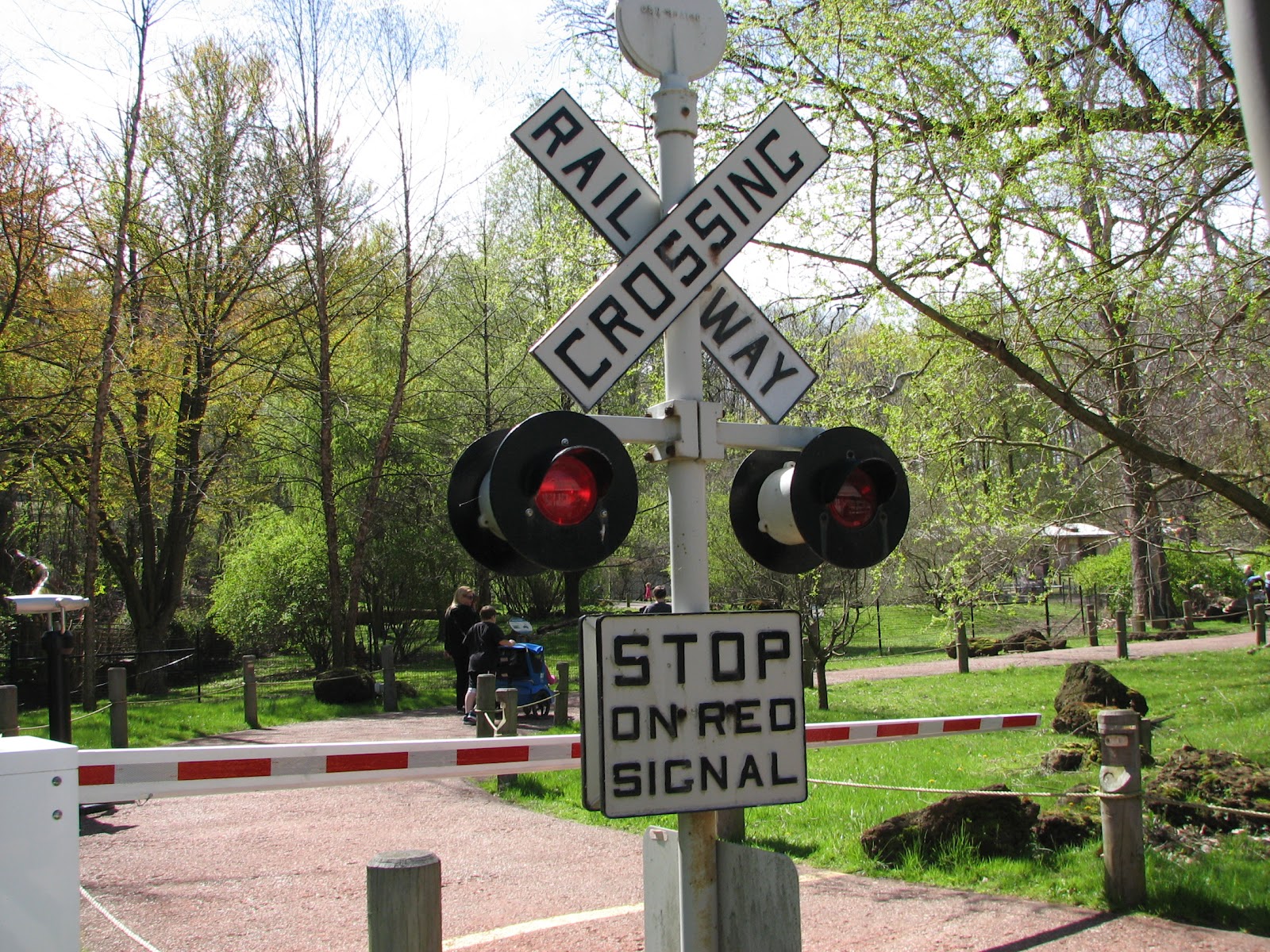 A Different Path Cleveland Zoo April 5, 2012