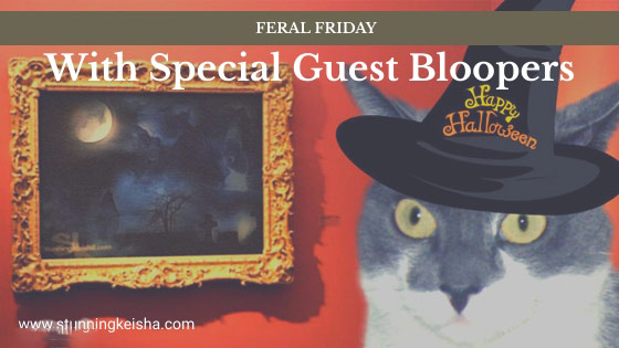Feral Friday With Special Guest Bloopers