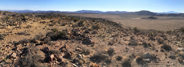 Panorama south toward Queen Valley from the summit of Negro Hill (4875’), Joshua Tree National Park