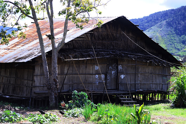 Thousand Foot House Typical Arfak Tribe Thousand Foot House Typical Arfak Tribe