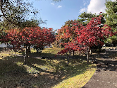 以楽公園 秋の限定開放・美しい紅葉の日本庭園
