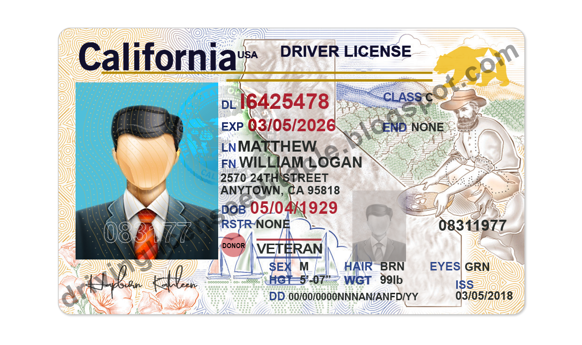 Free Maine Drivers License Template Photoshop Bxetotally