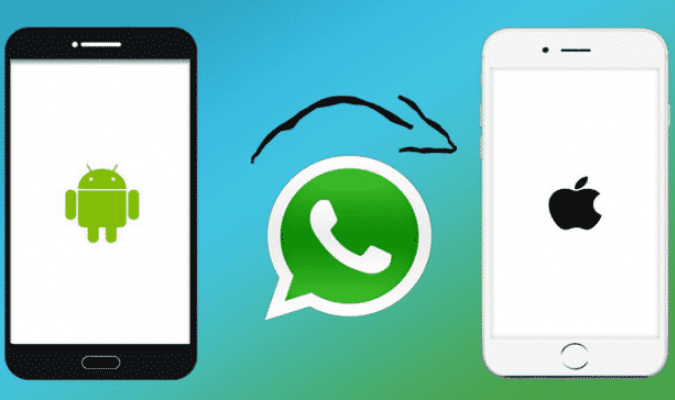 Cara Mudah Pindahkan Riwayat Chat WhatsApp dari Android ke iOS Cara Mudah Pindahkan Riwayat Chat WhatsApp dari Android ke iOS