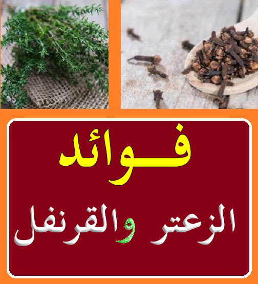 الزعتر وفوائد الزعتر الطبية