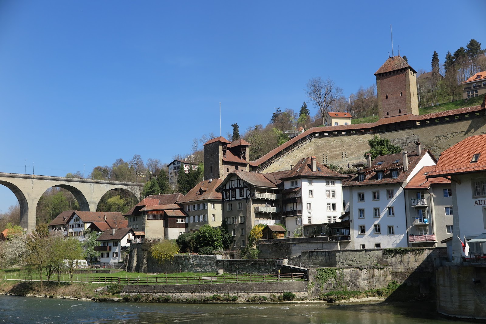 Schwarze Pfoten Fribourg die Stadt mit den vielen Brücken