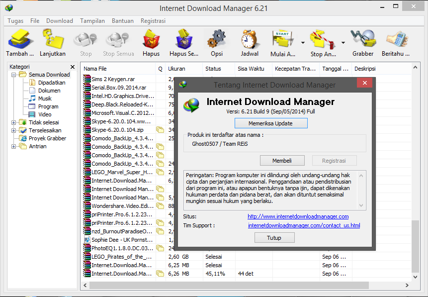 Download manager расширение