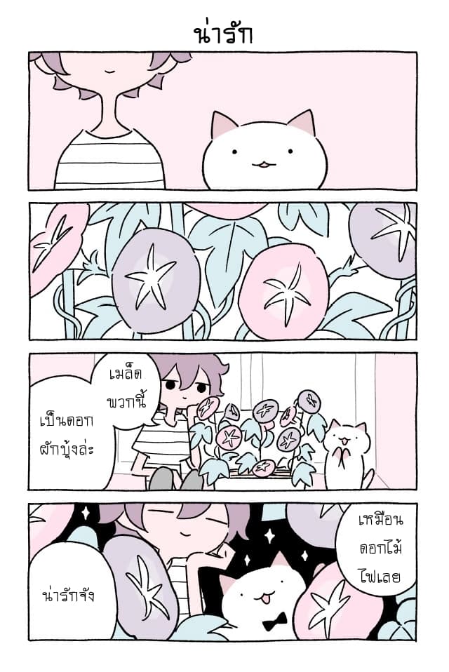 Wonder Cat Kyuu-chan - หน้า 6