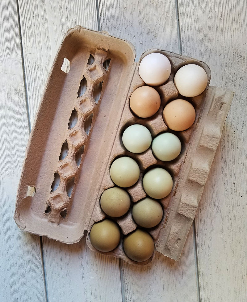 [Image: carton-of-eggs.jpg]