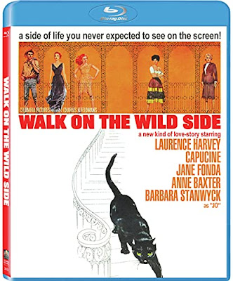 Walk On The Wild Side 1962 Bluray