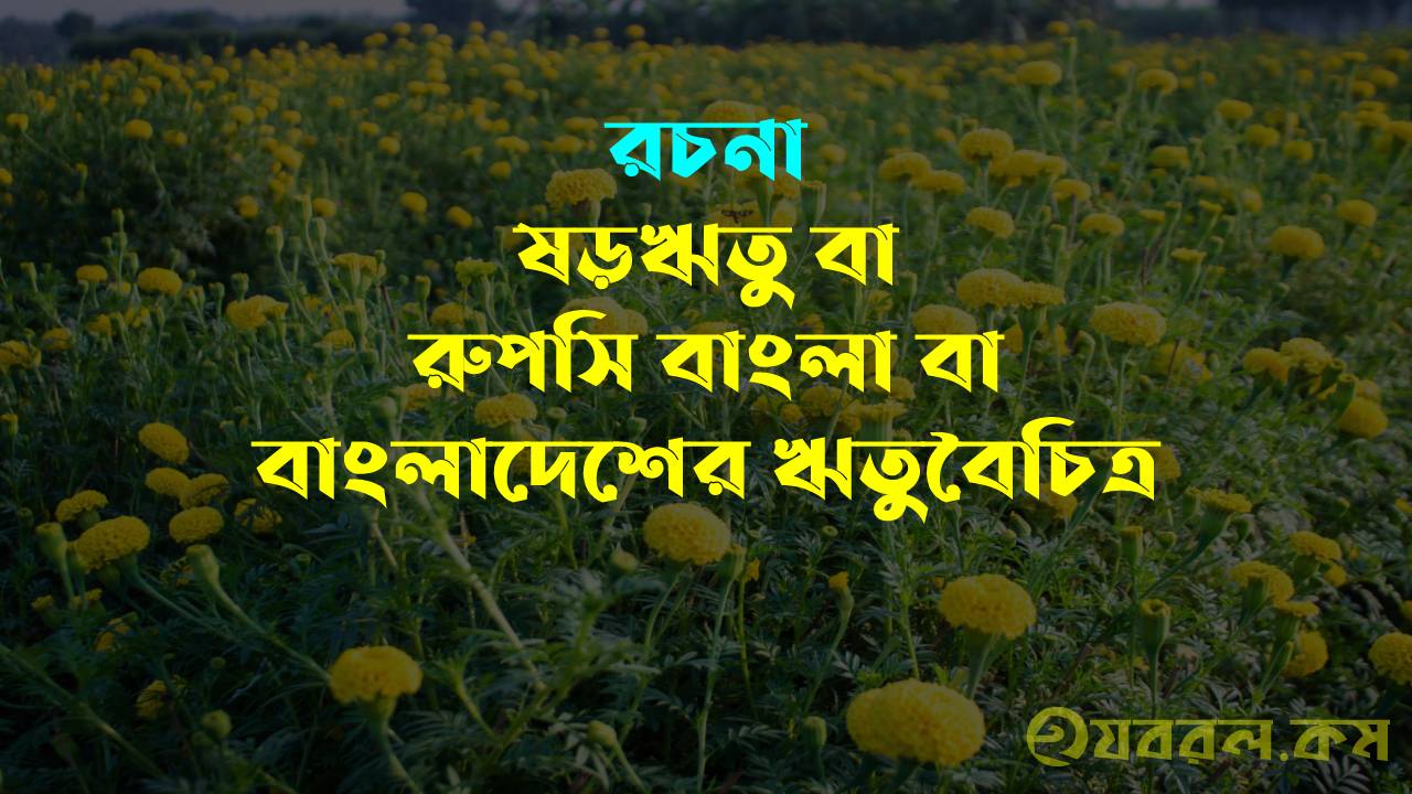 ষড়ঋতু বাংলাদেশের ঋতুবৈচিত্র রুপসি বাংলা রচনা - SSC HSC ষড়ঋতু _বাংলাদেশের ঋতুবৈচিত্র_রুপসি_বাংলা_রচনা