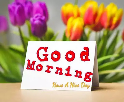 Good Morning Images Good Morning Images