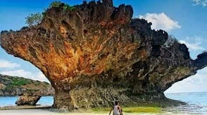 Mengenal Laut Mati Sotimori di Nusa Tenggara Indonesia.