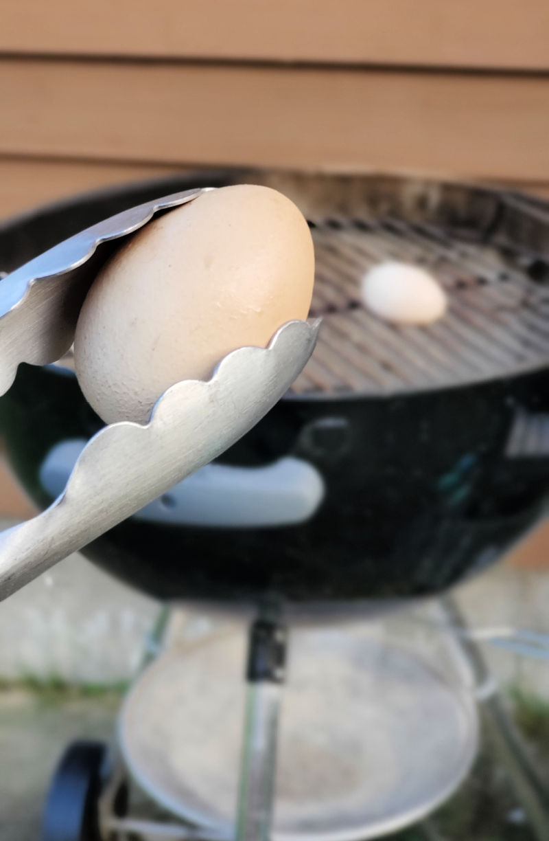 How to Grill Eggs Fresh Eggs Daily® with Lisa Steele