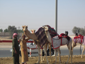 Dubai Camel Race Track
