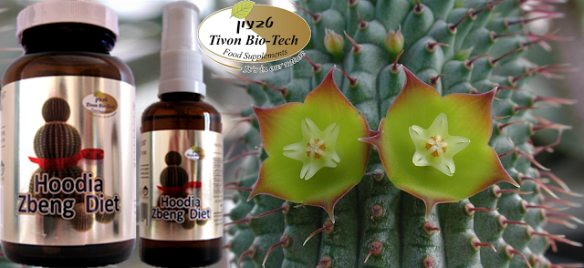 טבעון ביוטק אתר ויטמין דיאטה ותזונה בריאה