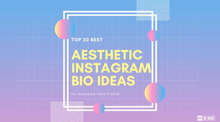 Best Aesthetic Instagram Bio ideas