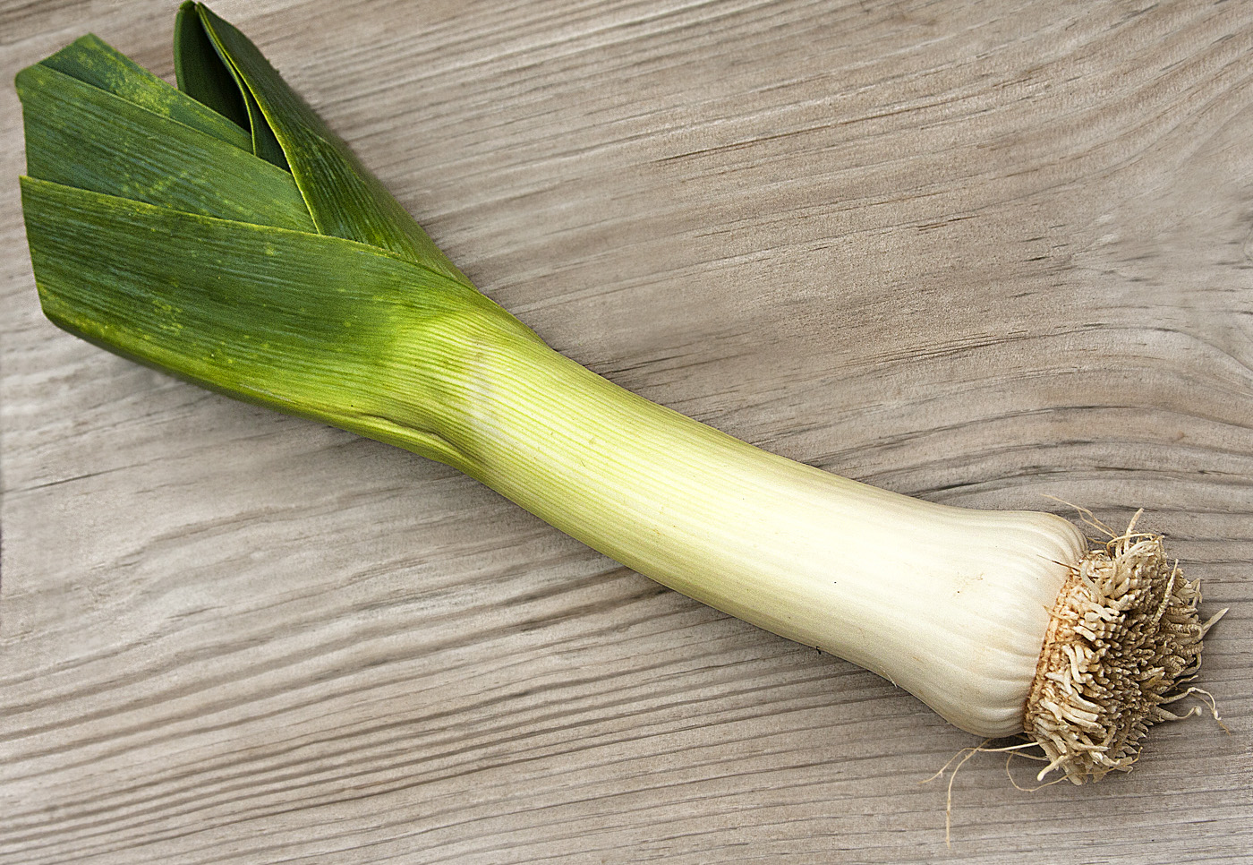 Pictures Of Leeks 32