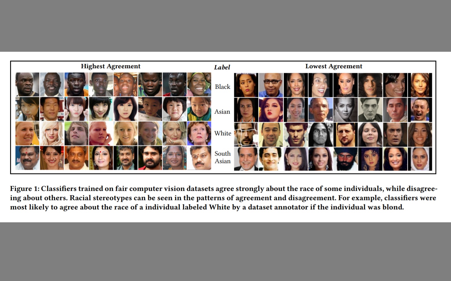 Race Labels in Computer Vision Data Sets Fail to Represent True Racial Diversity