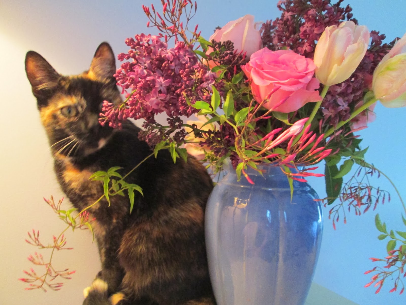 Country Weekend it was a year of flowers & cats