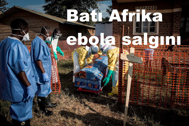 Batı Afrika ebola salgını