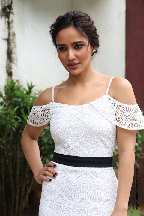 Neha Sharma at Solo Tamil Movie Press Meet