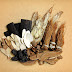 Quality Control and Regulation of Herbal Medicine