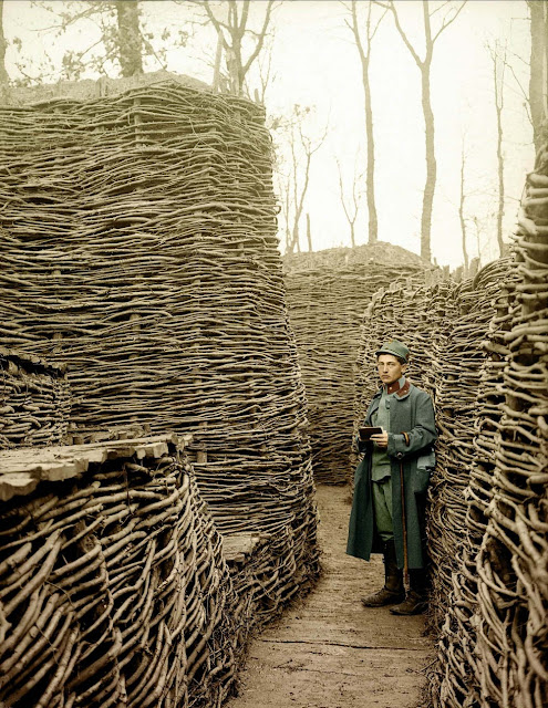 Австрийский солдат в траншее обвязанной хворостом, восточный фронт. Россия 1915