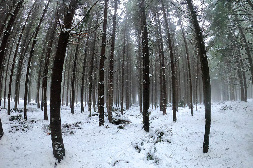 Top 5 Best places to see snow in Belgium My Travelogue Indian