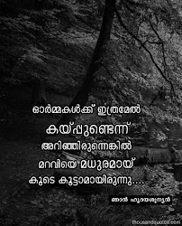 malayalam quotes sad memories relationship koode hide