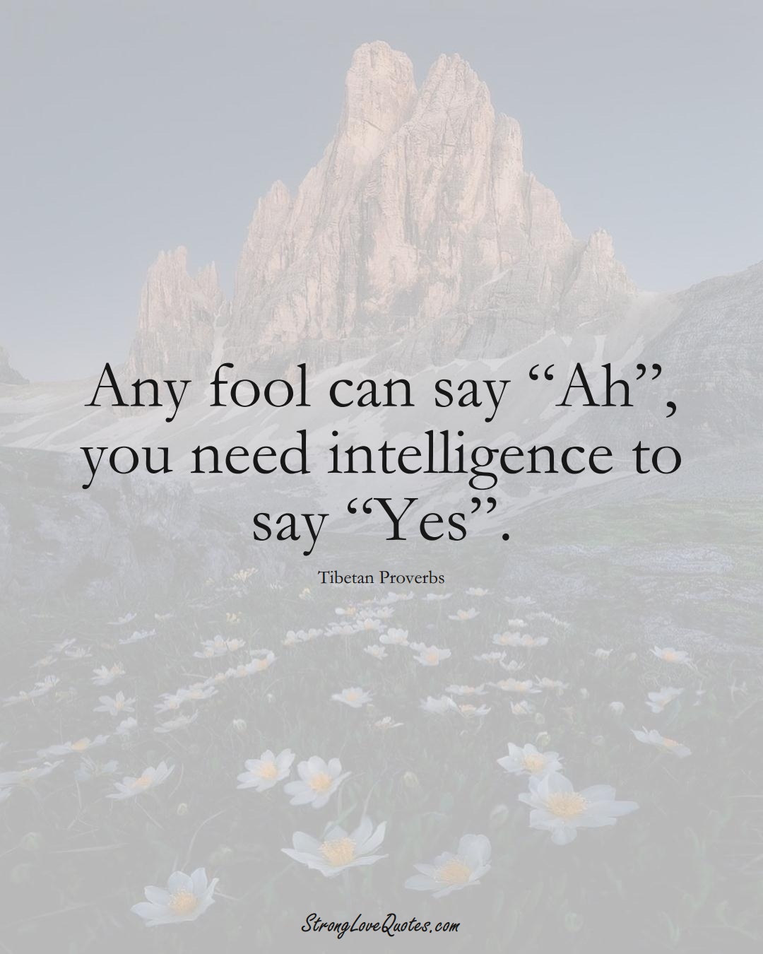 Any fool can say “Ah”, you need intelligence to say “Yes”. (Tibetan Sayings);  #aVarietyofCulturesSayings