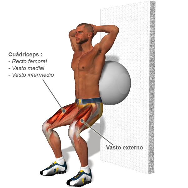 Fortalecer cuadriceps menisco roto